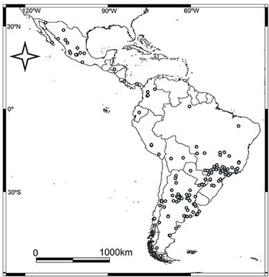 “I Did, I Did Taw a Puddy Tat!” Pumas in Urban Ecosystems of Latin America: A Review of the Mediatic Information